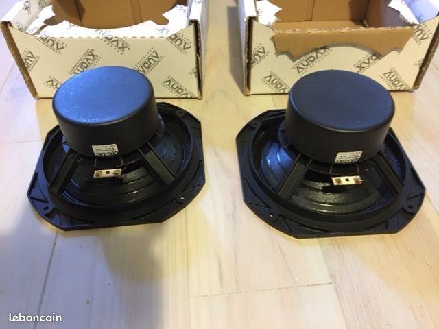 HP Audax 19PA15 – Haut-parleur Large Bande France – Vintage Audio – 1 Seul