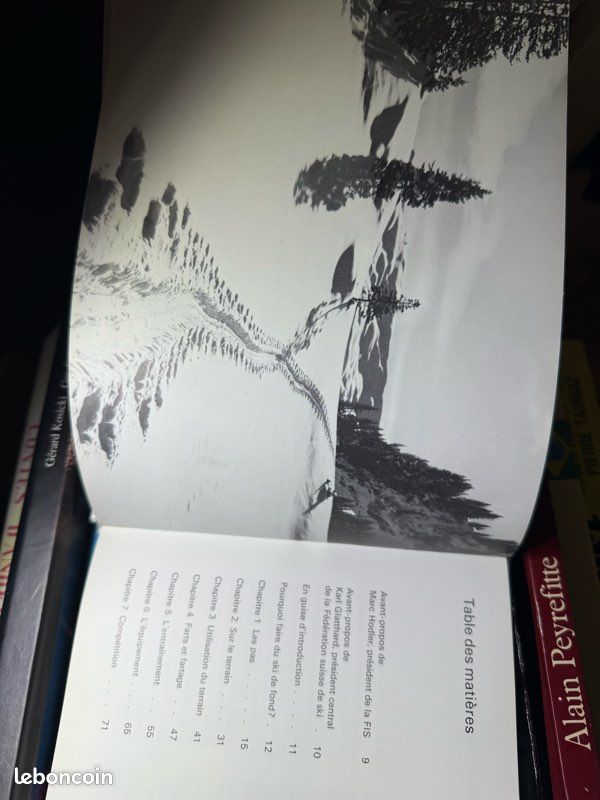 Ski de fond (image 4)