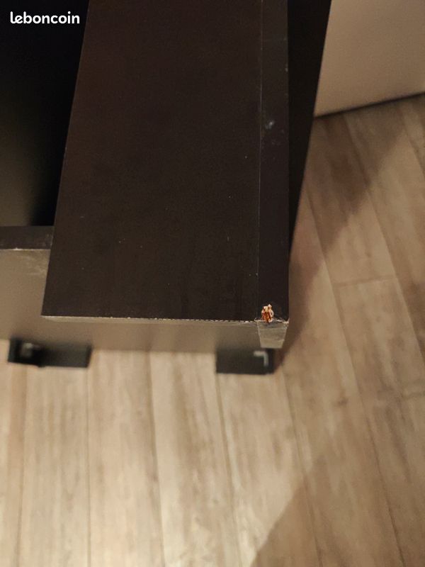 Table basse (image 7)