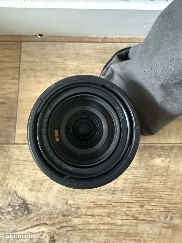 Canon RF 24-105 f4 (image 2)