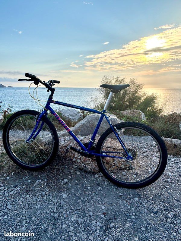 Vélo Ville Velo Course Urbain Vélo Urbain Meilleur Velo Fitness