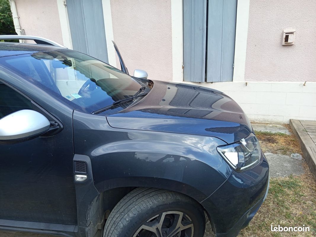 Dacia duster blue dci 4*2 4*4 6cv 2020 (image 2)