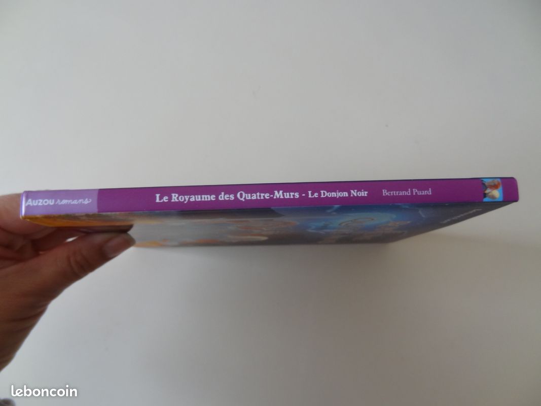 Le royaume des quatre murs (image 3)