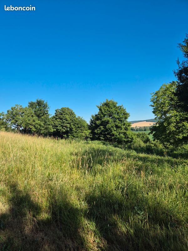 Terrain constructible · à Noé · 40 000 €
