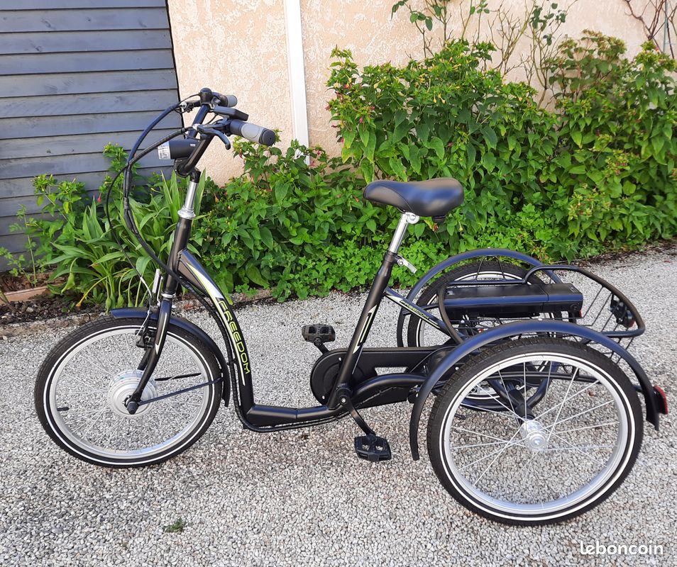 L-faster Kit de conversion de moteur de tricycle électrique pour adultes, vélo de charge à 3