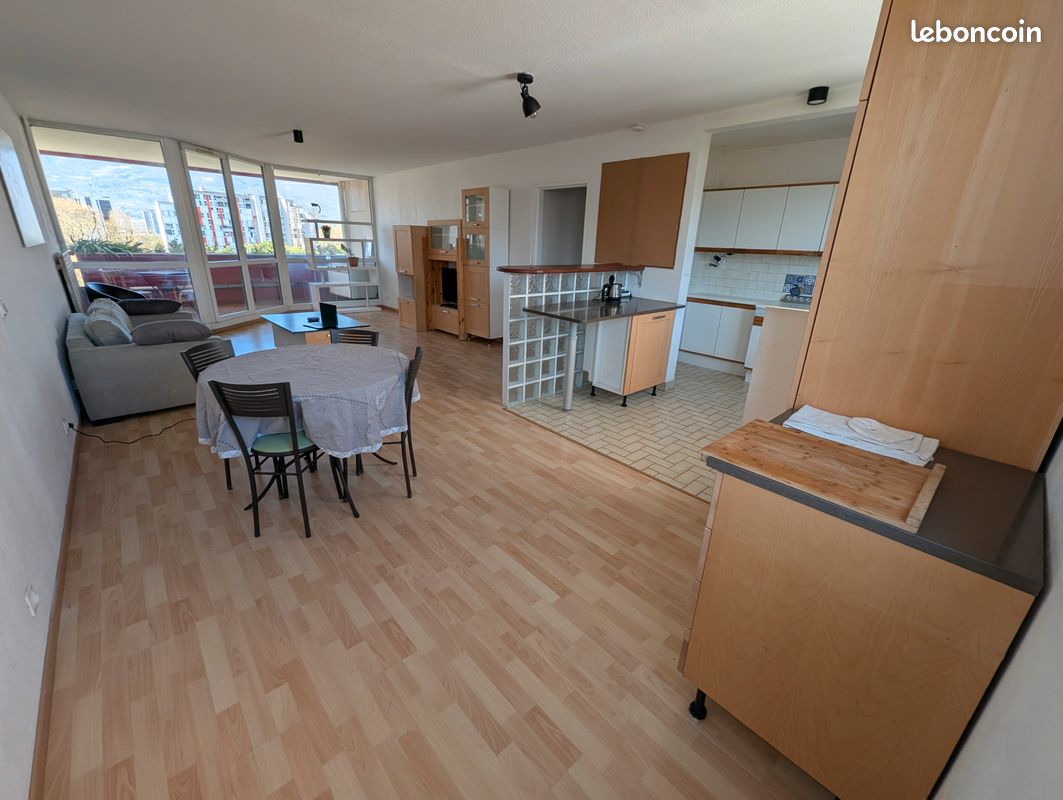 Appartement T3-T4 style Loft étage élevé allée de la Pelouse Grenoble 38100 (image 11)