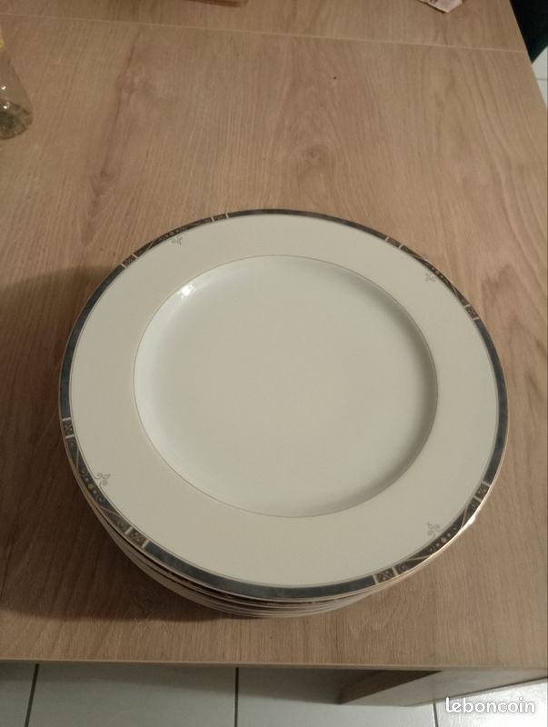 Très jolie lot de 12 assiettes plate en porcelaine de limoges (image 1)