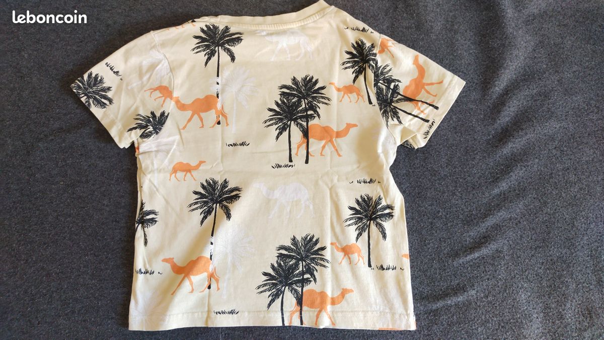 Lot 5 t-shirts garçon 8 ans (lot19) (image 14)