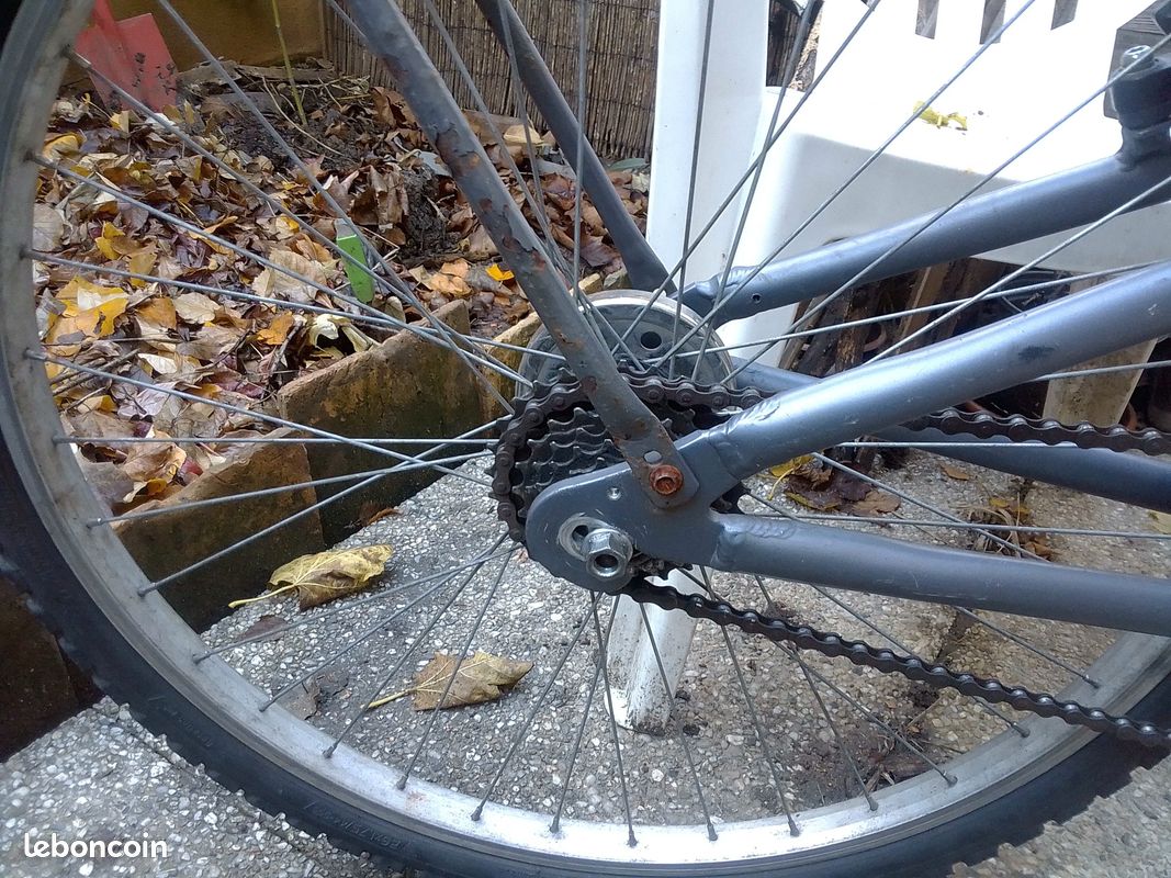 Vélo de ville mono vitesse (image 4)
