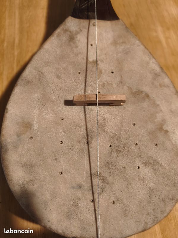 Gusla, instrument a corde (image 7)