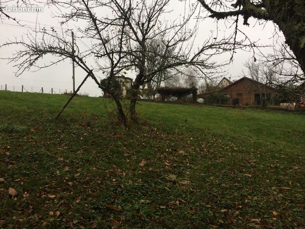 Terrain constructible