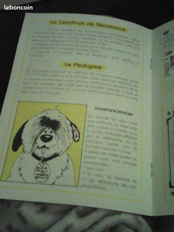 A l'école avec mon maître (image 2)