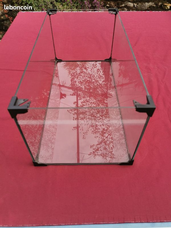 Terrarium (image 2)