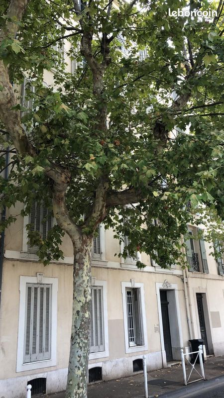 Appartement 2 pièces 36 m² · à Toulon · 36 m² · 89 000 €