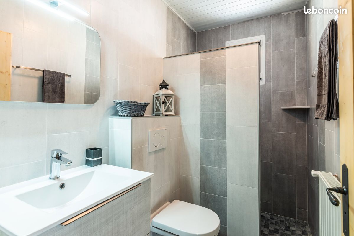 Disponible été & Hiver : Rez-de-jardin 2 pièces 1/2/3 pers à Châtel (image 11)