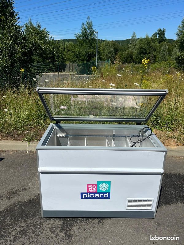 Congélateur 410 LITRES Professionnel Picard (image 1)