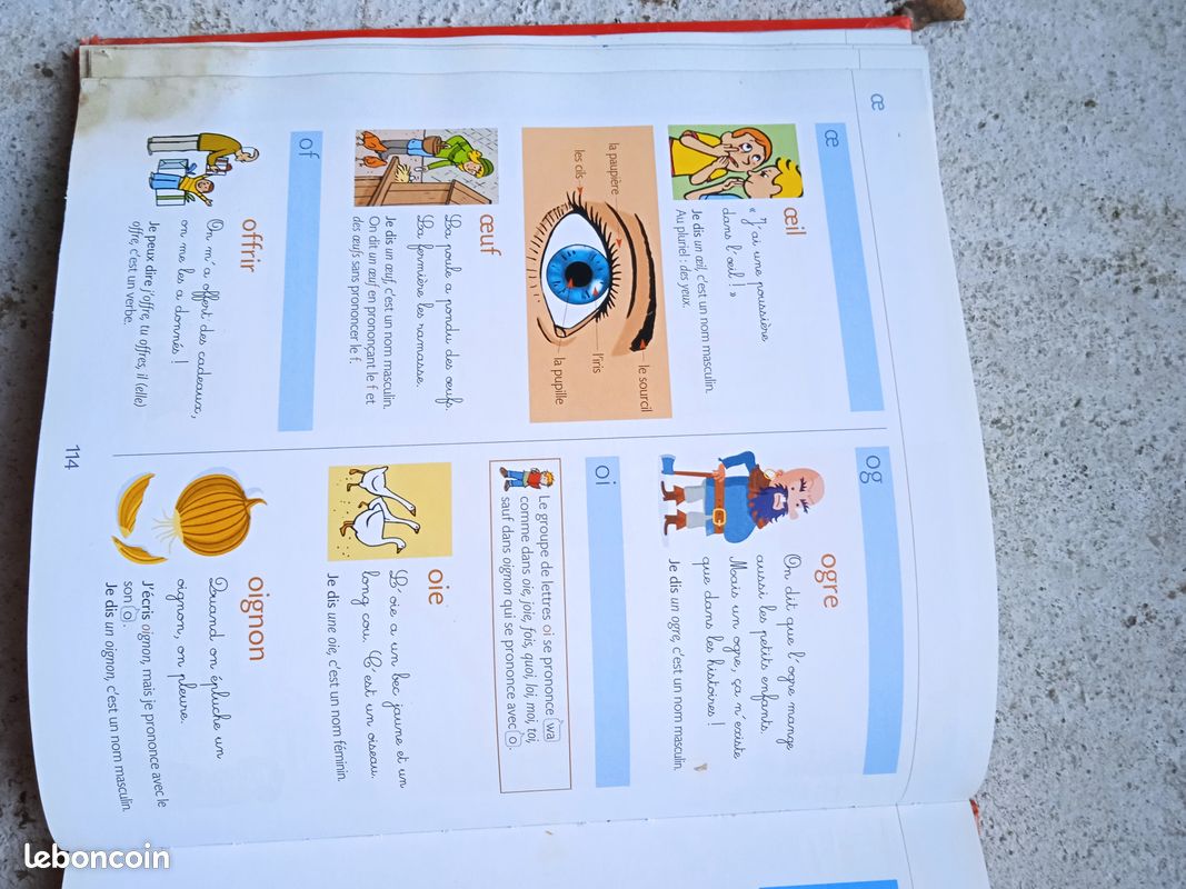 BESCHERELLE ILLUSTRé CP, ce1,CE2 (image 2)