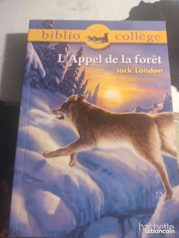 Livres au choix 2 la pièce (image 4)