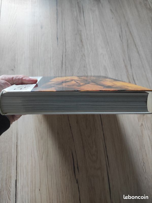 Livre Ramsès le Grand Grand Palais 1976 (image 6)