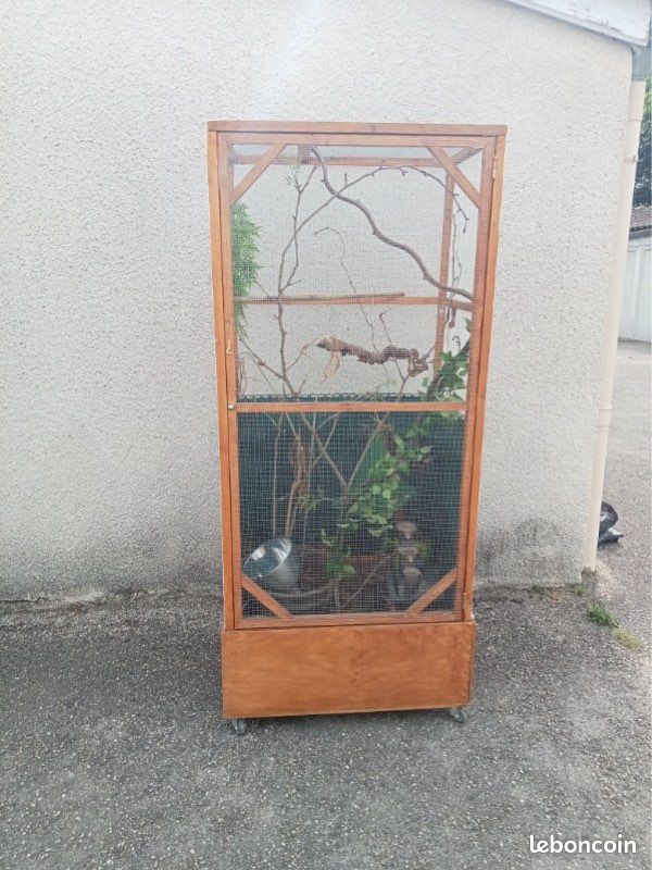 Cage pour reptiles ou oiseaux de base utilisé pour un caméléon (image 2)
