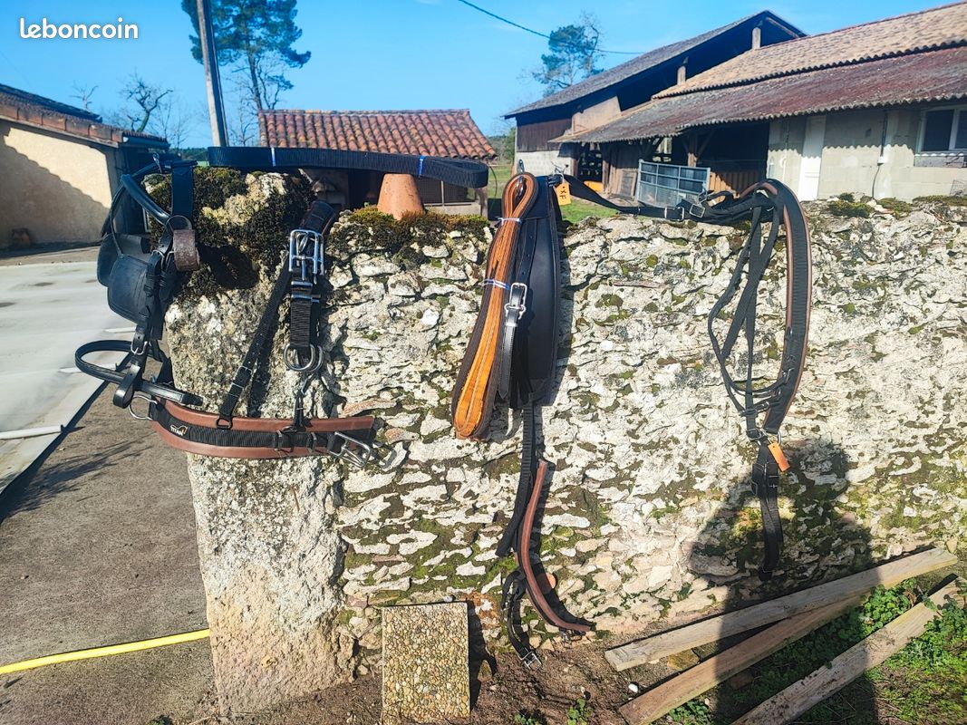 6 boutons de porte en laiton pour maisons de poupées 1/12
