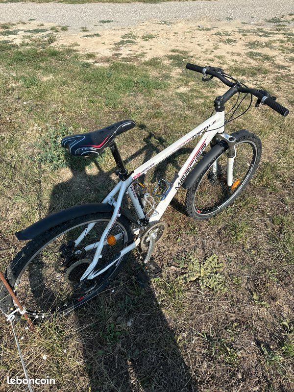 Vélo adulte mercier (image 3)