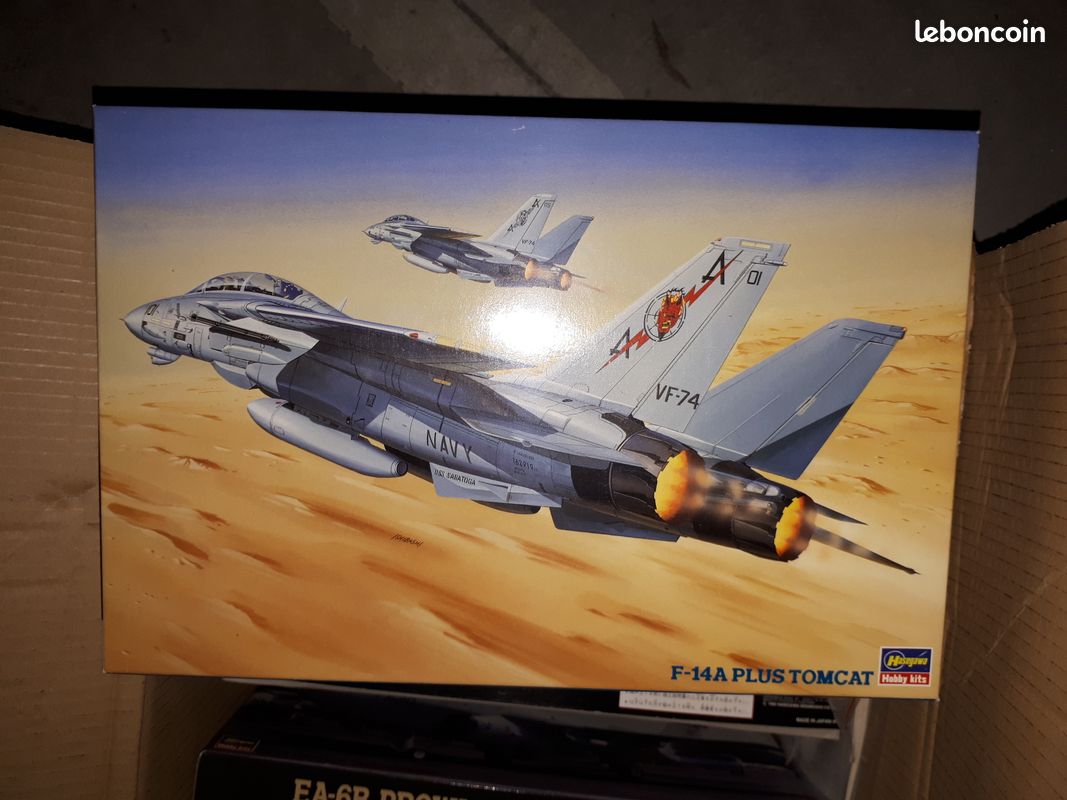 Maquette Hasegawa F-14A plus 1/72 Be Devilers (image 1)