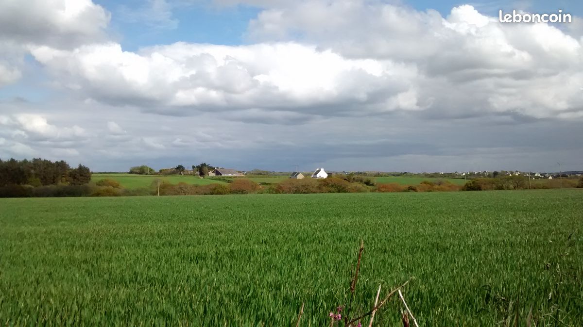 Gîte Lanildut 9 P, 6 Km mer, très calme dans la campagne (image 13)