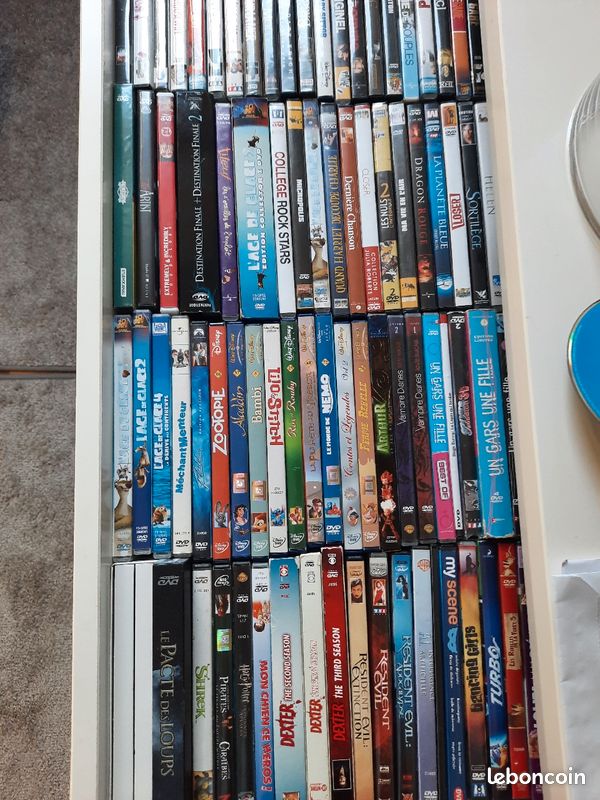 Divers dvd (image 1)