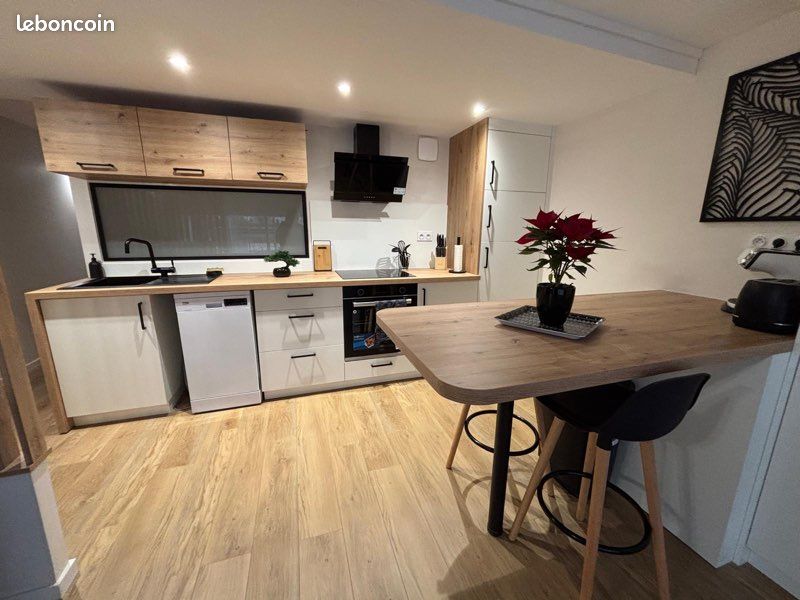 Appartement 1 pièce 30 m² · à Roanne · 30 m² · 550 €