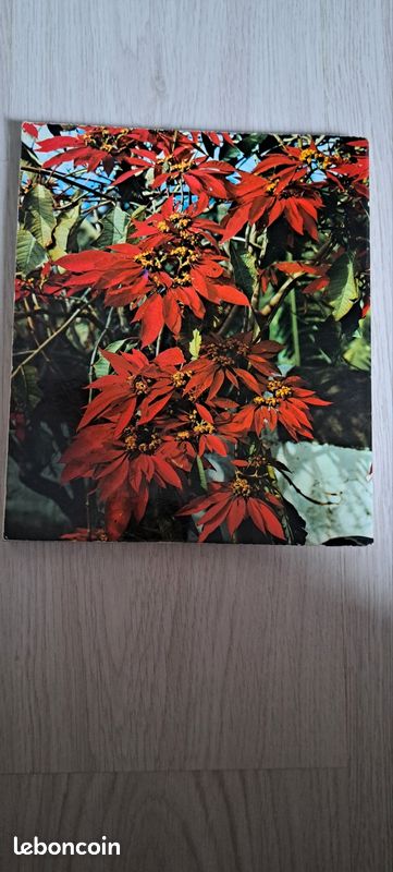 Tout Canarias livre photo (image 2)