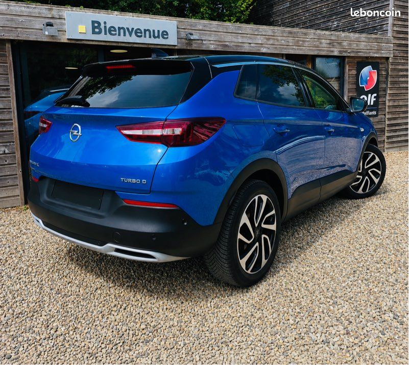 Opel Grandland X blanc, photo 2