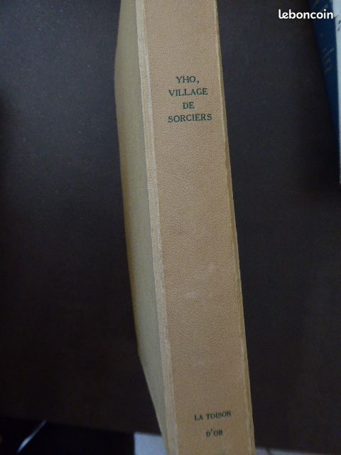 Livre yho village de sorciers hassoldt davis (image 2)