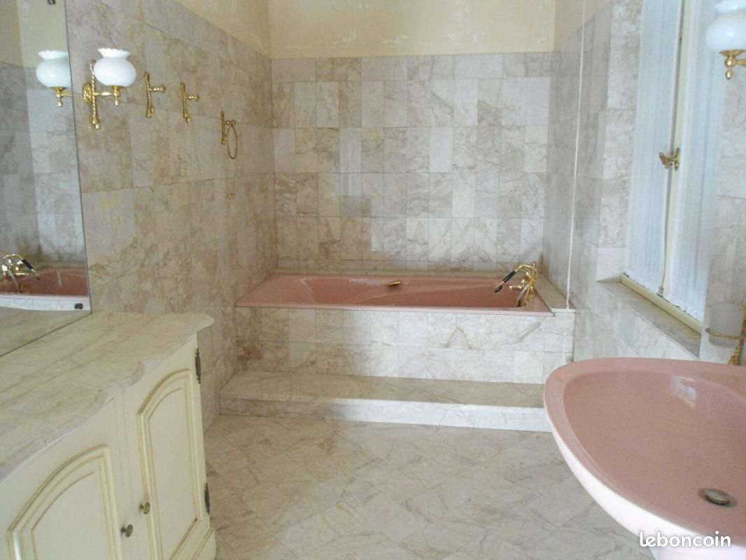 Propriété 11 pièces 320 m² - Saint-Georges-du-Bois 17700 (image principale 12)