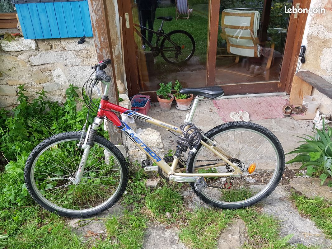 Vélo VTT (image 1)
