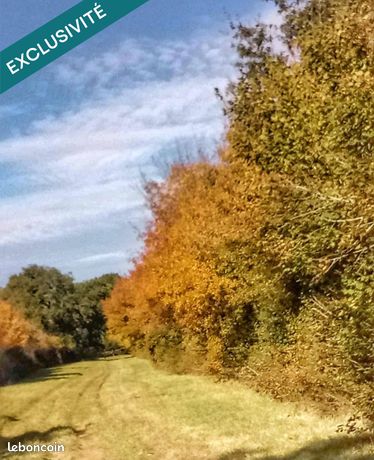 Terrain 520000 m² BENON