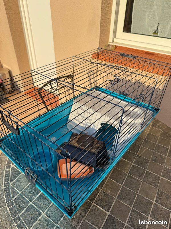 Cage cochon d’Inde (image 1)