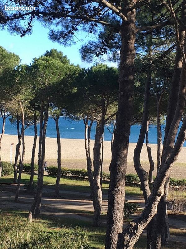 Appt 50m PLAGE, Vue MER, résidence calme (image 10)