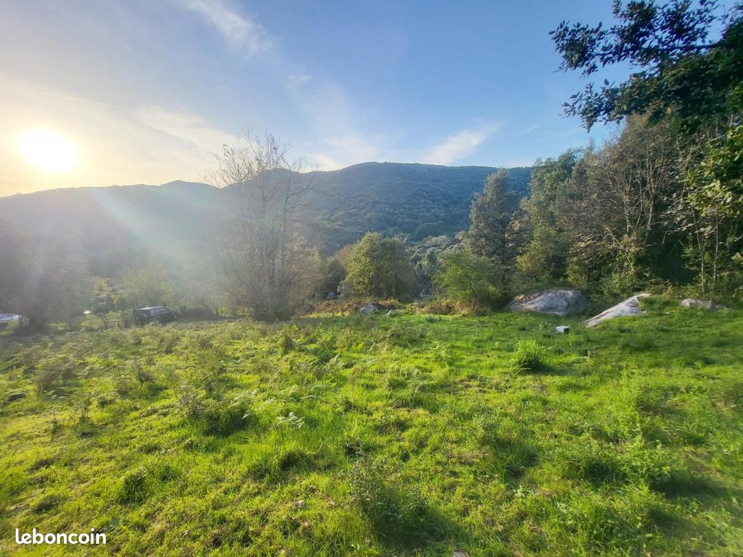 Terrain 1 500 m² Forciolo · 105 000 €