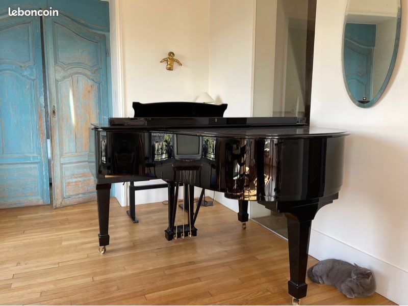 Piano Steinway Hamburg 2004 (image 4)