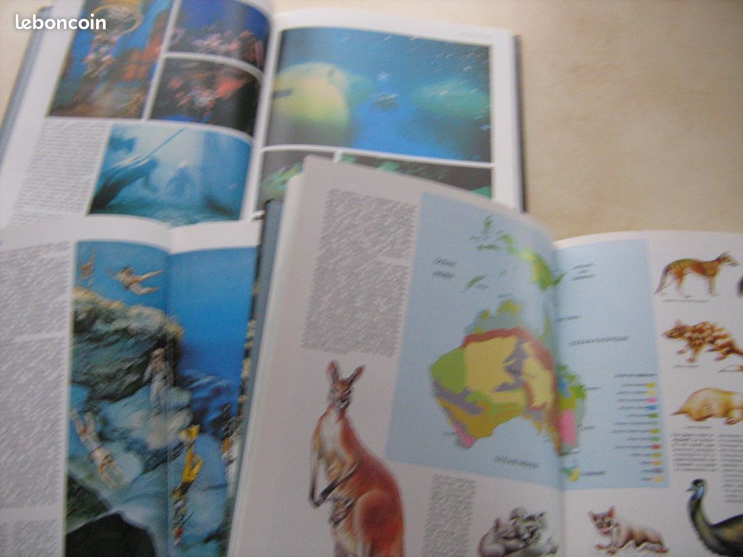 Jacques Yves Cousteau (image 2)