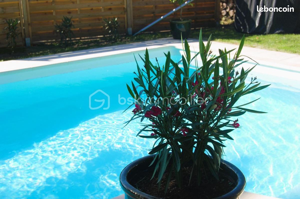 Maison 11 pièces 290 m² · à Erdeven · 290 m² · 824 000 €