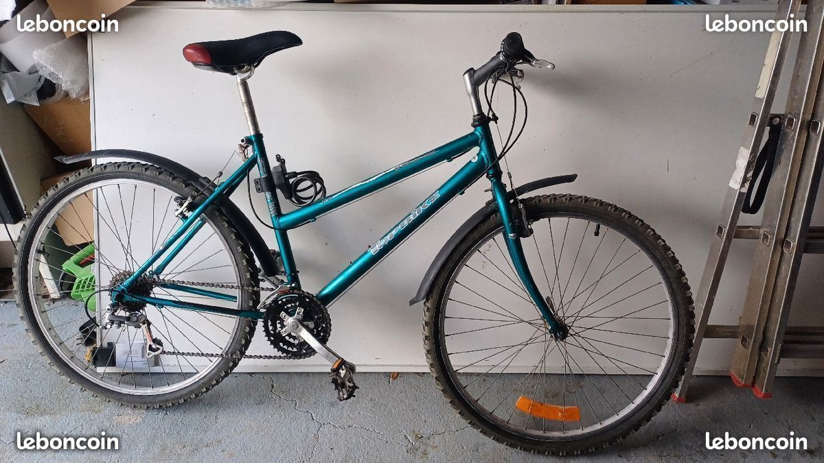 Vélo 21'' bleu marque topbike série Mountain VTT (image 1)