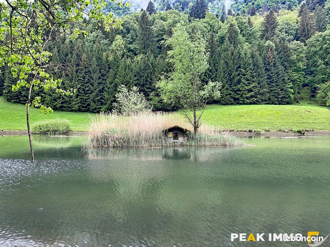 Appartement 4 pièces 54 m² · à Mieussy · 54 m² · 220 000 €