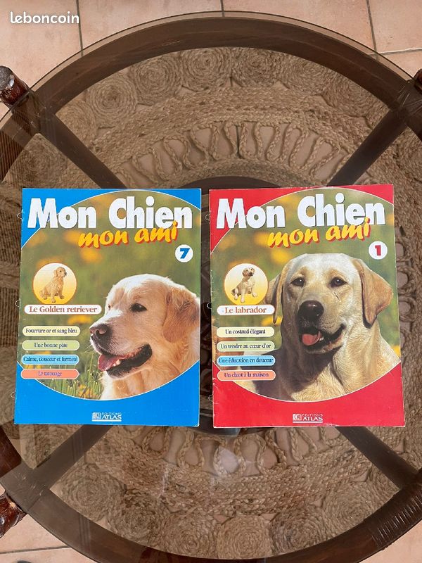 Mon chien mon ami (image 1)