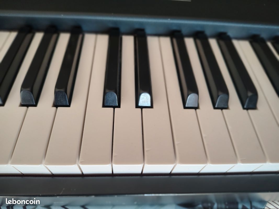 Korg SG pro X (image 4)