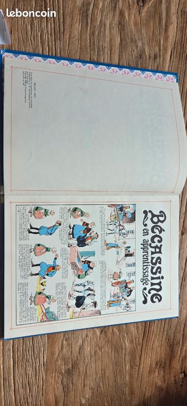 Bécassine en apprentissage (image 5)