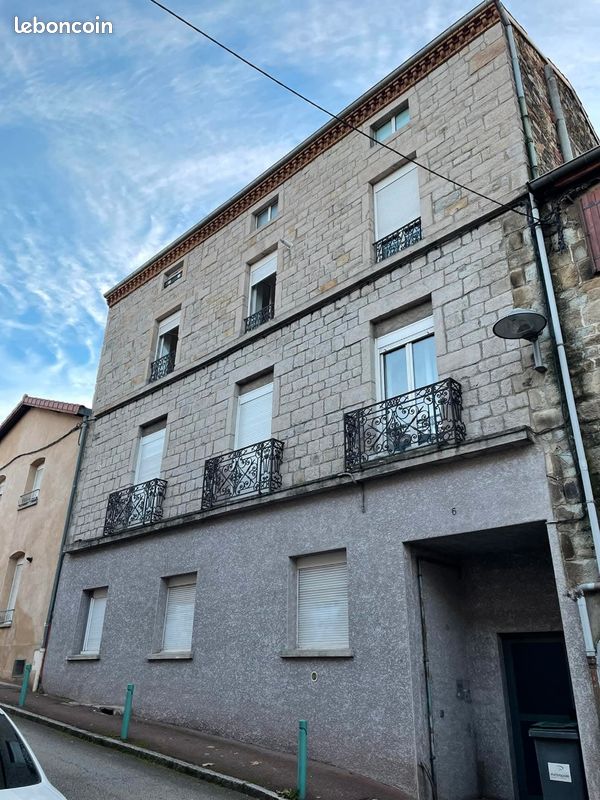 Immeuble 13 pièces 300 m² · à L'Horme · 300 m² · 249 000 €