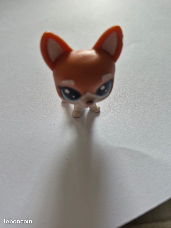 Lot 16 pet shop (image 10)