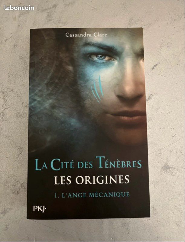 Livre la cité des ténèbres (image 1)